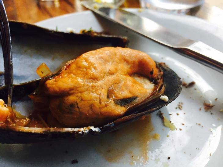 13898369_1421990991163561_657764012_o