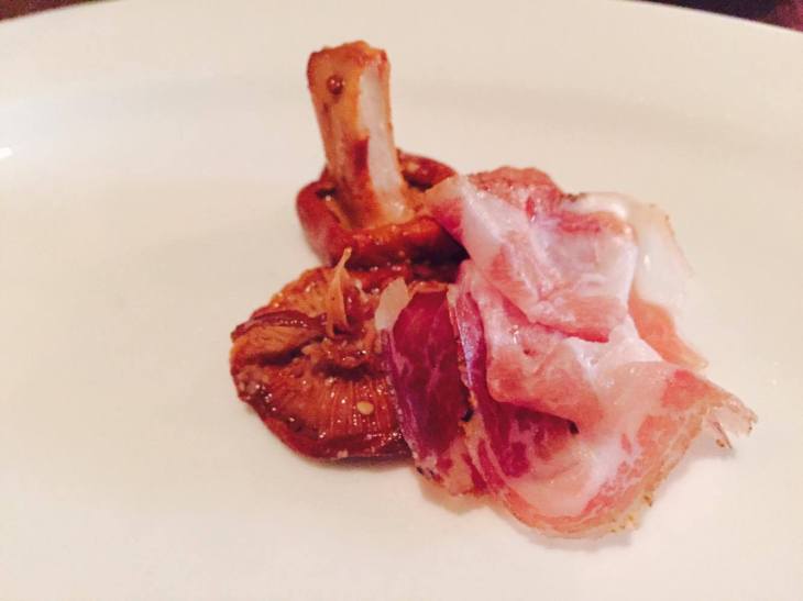 13940163_1424695187559808_1049103666_o