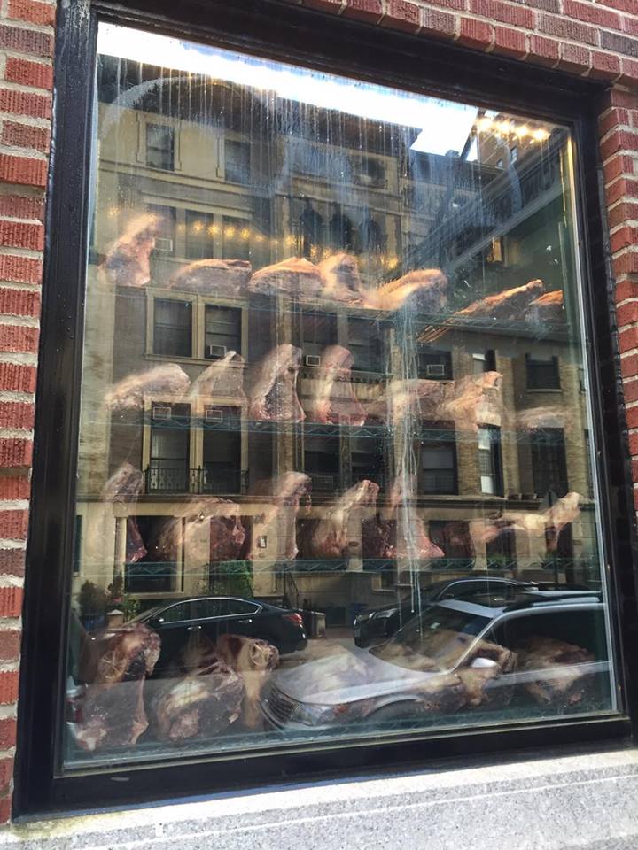 14012095_1435745566454770_1614152486_n