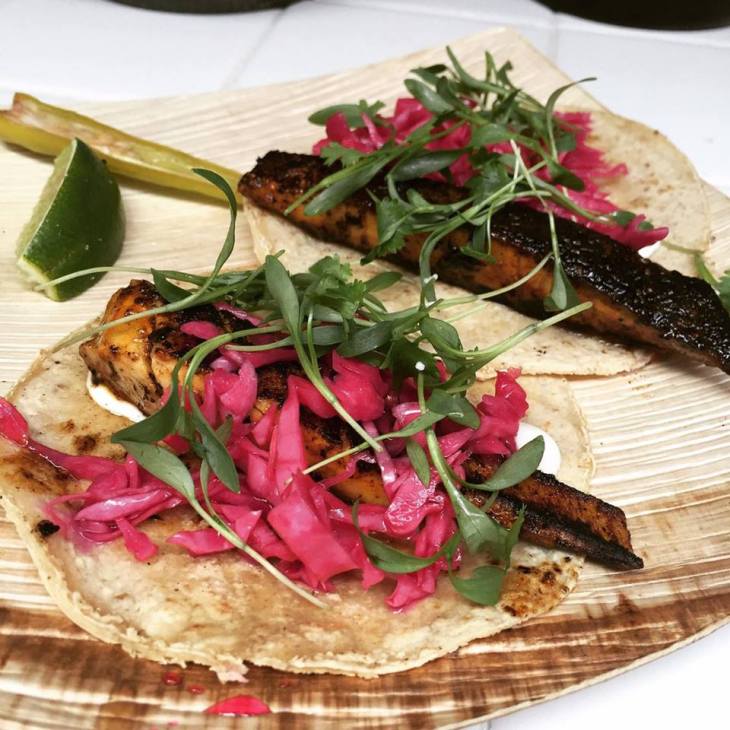 14081392_1435773999785260_339835793_n