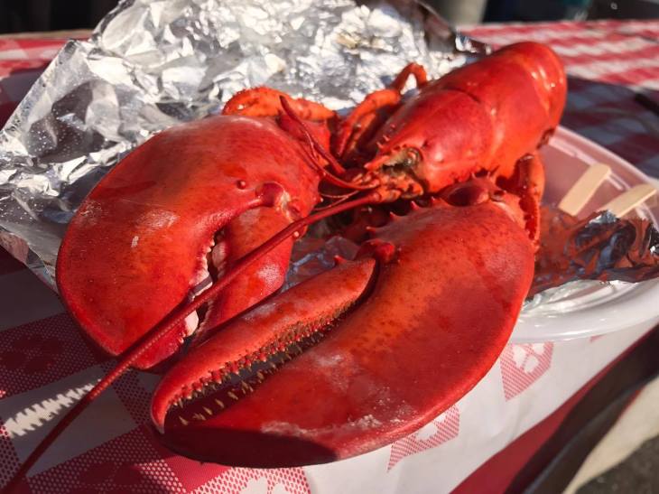 14647266_1494795293883130_946280493_o