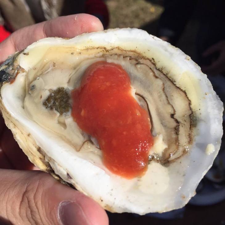 14658176_1494795213883138_1926416627_n