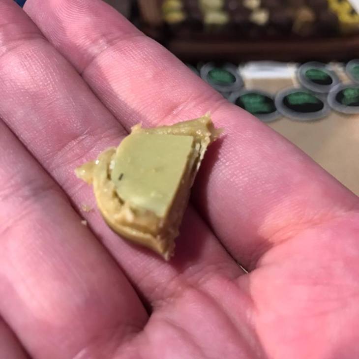 14658201_1494774087218584_363706708_n