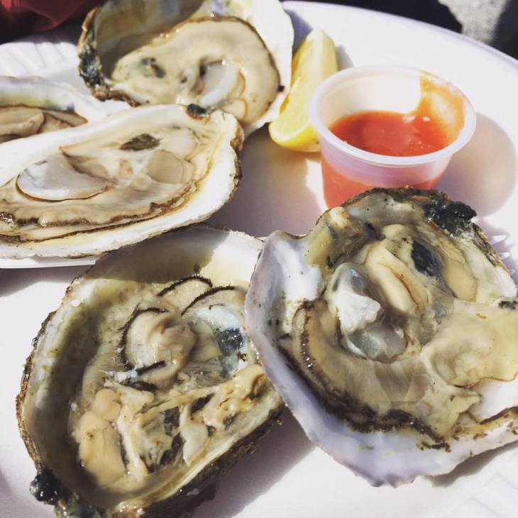 14741160_1494795220549804_53880706_n